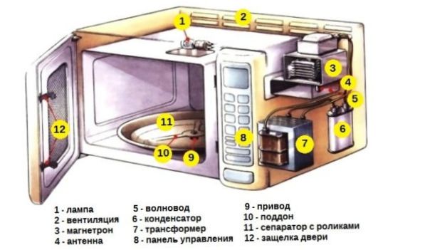 Struttura del forno a microonde